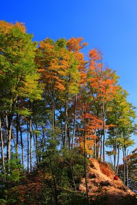 热刺主场大胜曼城，反超对手进入前四