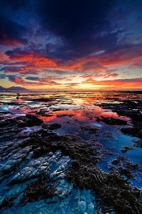 深圳男篮战胜广东队，保持季后赛席位